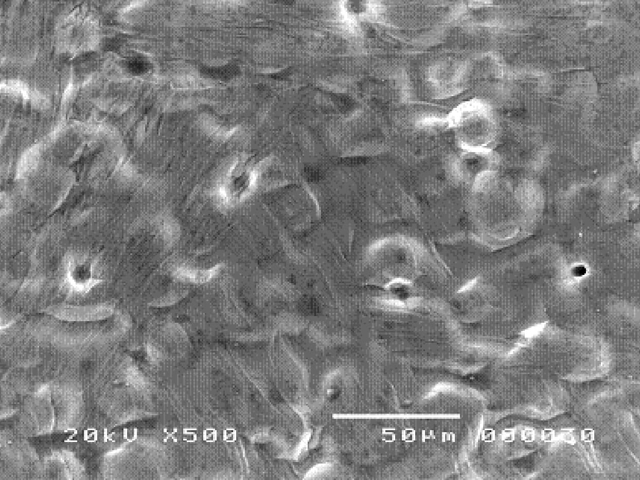 Smooth fracture surface under SEM